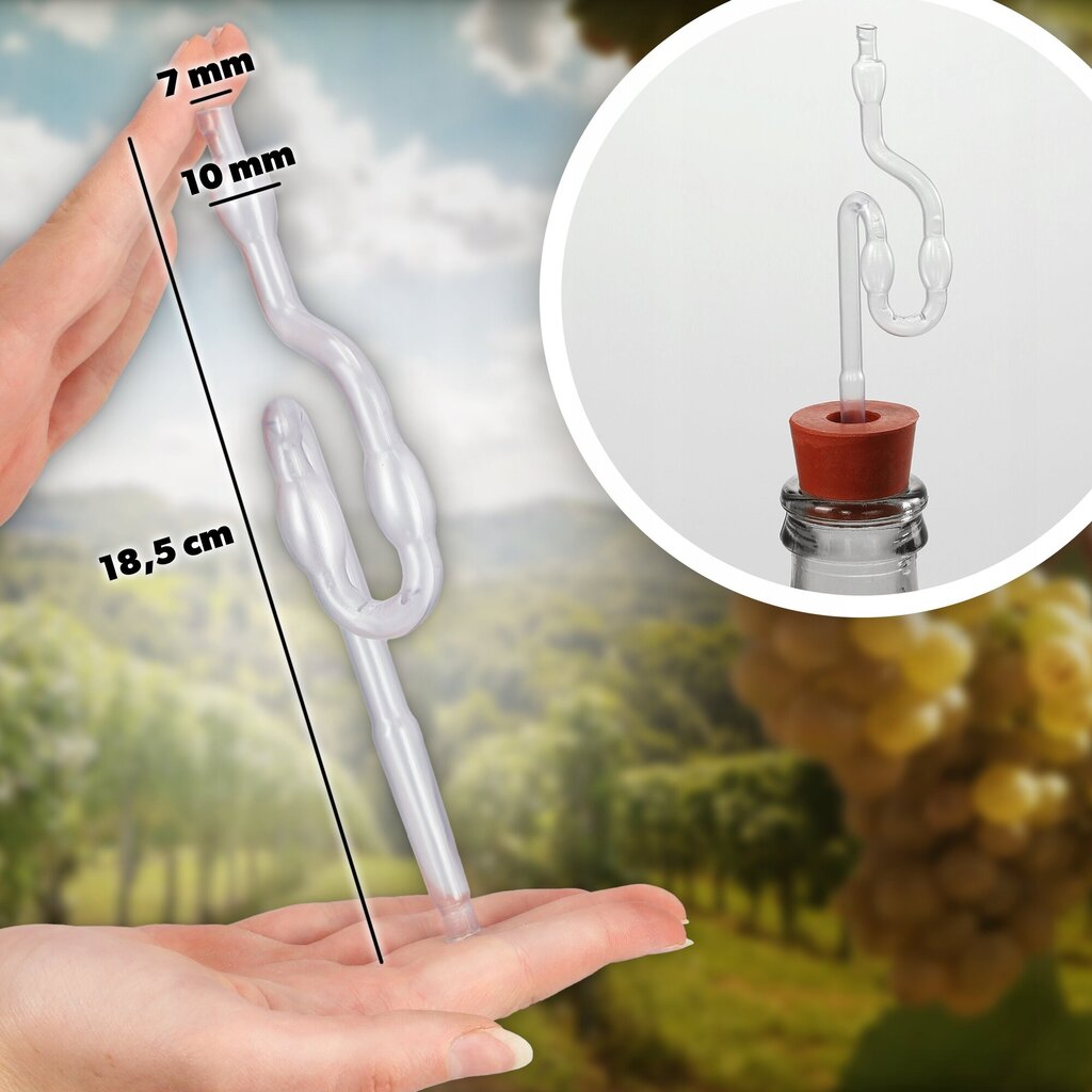 Wine Carboy 20 litraa Wine Balloon Tube Cork In Basket Set hinta ja tiedot | Lasit, mukit ja kannut | hobbyhall.fi