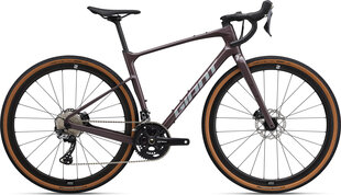 Maastopyörä Giant Revolt Advanced 0 (2023) Charcoal Plum - L hinta ja tiedot | Polkupyörät | hobbyhall.fi