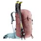 Turistireppu Deuter Trail Pro 31 SL Caspia-Dusk hinta ja tiedot | Urheilukassit ja reput | hobbyhall.fi