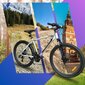 Polkupyörä - Shimano, 26'' hinta ja tiedot | Polkupyörät | hobbyhall.fi