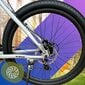 Polkupyörä - Shimano, 26'' hinta ja tiedot | Polkupyörät | hobbyhall.fi