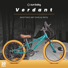 20 tuuman pojan kevyt MTB-pyörä Shimano 6 vaihteella vaimennin VERDANT Rowan SHOX hinta ja tiedot | Polkupyörät | hobbyhall.fi