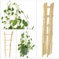 Pergola Support Bambu Tikkaat 37 cm 5 kpl hinta ja tiedot | Kukkatelineet ja kukkapöydät | hobbyhall.fi