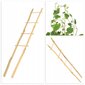 Pergola Support Bambu Tikkaat 37 cm 5 kpl hinta ja tiedot | Kukkatelineet ja kukkapöydät | hobbyhall.fi