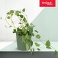 Pergola Support Bambu Tikkaat 45 cm 5 kpl hinta ja tiedot | Kukkatelineet ja kukkapöydät | hobbyhall.fi