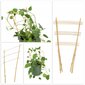 Pergola Support Bambu Tikkaat 45 cm 5 kpl hinta ja tiedot | Kukkatelineet ja kukkapöydät | hobbyhall.fi