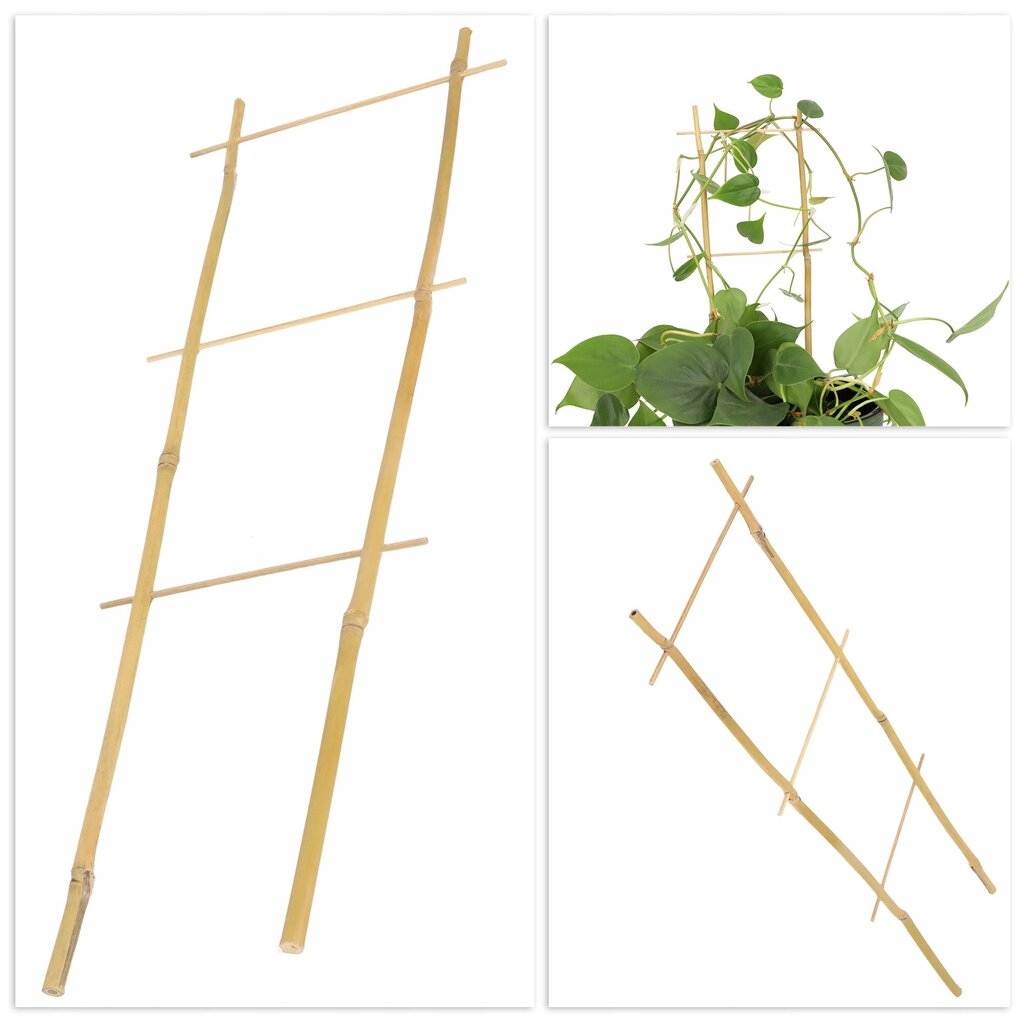 Pergola Support Bambu Tikkaat 45 cm 5 kpl hinta ja tiedot | Kukkatelineet ja kukkapöydät | hobbyhall.fi