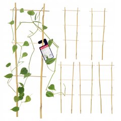 Pergola Support Bambu Tikkaat 45 cm 5 kpl hinta ja tiedot | Kukkatelineet ja kukkapöydät | hobbyhall.fi