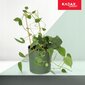 Bambutikkaat, Double Plant Support, 60cm hinta ja tiedot | Kukkatelineet ja kukkapöydät | hobbyhall.fi