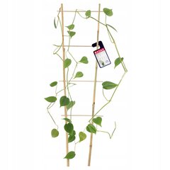 Bambutikkaat, Double Plant Support, 60cm hinta ja tiedot | Kukkatelineet ja kukkapöydät | hobbyhall.fi