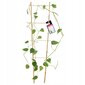 Bambutikkaat, Double Plant Support, 60cm hinta ja tiedot | Kukkatelineet ja kukkapöydät | hobbyhall.fi