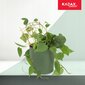 Bambutikkaat, Triple Plant Support, 26cm hinta ja tiedot | Kukkatelineet ja kukkapöydät | hobbyhall.fi