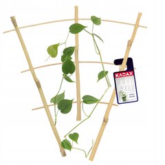 Bambutikkaat, Triple Plant Support, 26cm hinta ja tiedot | Kukkatelineet ja kukkapöydät | hobbyhall.fi