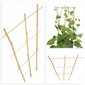 Bambutikkaat, Triple Plant Support, 46cm hinta ja tiedot | Kukkatelineet ja kukkapöydät | hobbyhall.fi