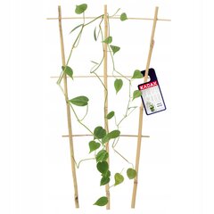 Bambutikkaat, Triple Plant Support, 46cm hinta ja tiedot | Kukkatelineet ja kukkapöydät | hobbyhall.fi