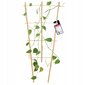 Bambutikkaat, Triple Plant Support, 60cm hinta ja tiedot | Kukkatelineet ja kukkapöydät | hobbyhall.fi