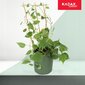 Bambutikkaat, Triple Plant Support, 60cm hinta ja tiedot | Kukkatelineet ja kukkapöydät | hobbyhall.fi