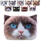 Mallityyny Cat Mascot -printillä 30x45 cm hinta ja tiedot | Tyynyt | hobbyhall.fi