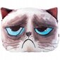 Mallityyny Cat Mascot -printillä 30x45 cm hinta ja tiedot | Tyynyt | hobbyhall.fi