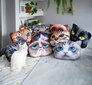 Mallityyny Cat Mascot -printillä 30x45 cm hinta ja tiedot | Tyynyt | hobbyhall.fi