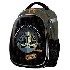 CoolPack reppu Turtle Warrior, 25 l hinta ja tiedot | Koulureput ja -laukut | hobbyhall.fi