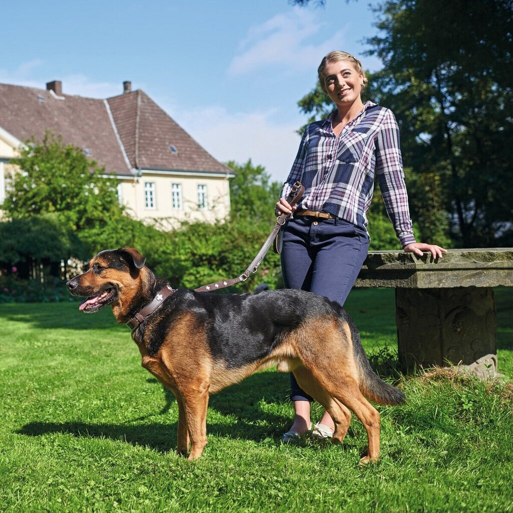 Hunter Dog -panta Swiss Negro, 41-49cm hinta ja tiedot | Koiran valjaat ja kaulapannat | hobbyhall.fi