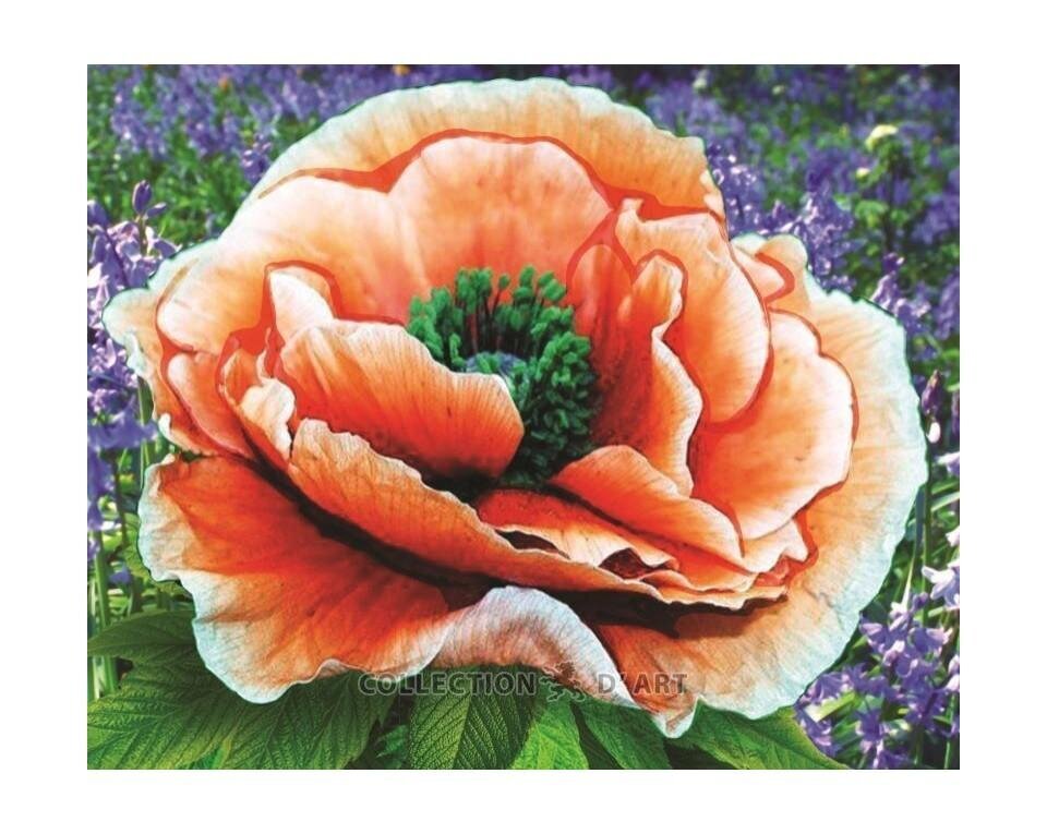 Timanttimaalaus 17x21 cm. "Bright poppy" hinta ja tiedot | Timanttimaalaukset | hobbyhall.fi