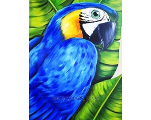 Timanttimaalaus 17x21 cm. "Parrot" hinta ja tiedot | Timanttimaalaukset | hobbyhall.fi