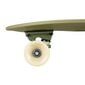 Skateboard Dstreet, vihreä hinta ja tiedot | Skeittilaudat | hobbyhall.fi