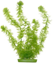 Muovikasvi AquaScaper 30cm, Hornwort, Marina hinta ja tiedot | Akvaariokasvit ja akvaariokoristeet | hobbyhall.fi