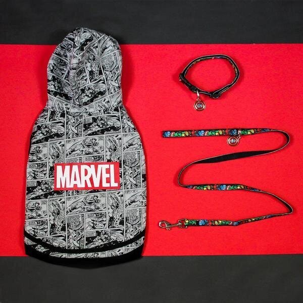 Koiran kaulapanta Marvel, XXS/XS, musta hinta ja tiedot | Koiran valjaat ja kaulapannat | hobbyhall.fi