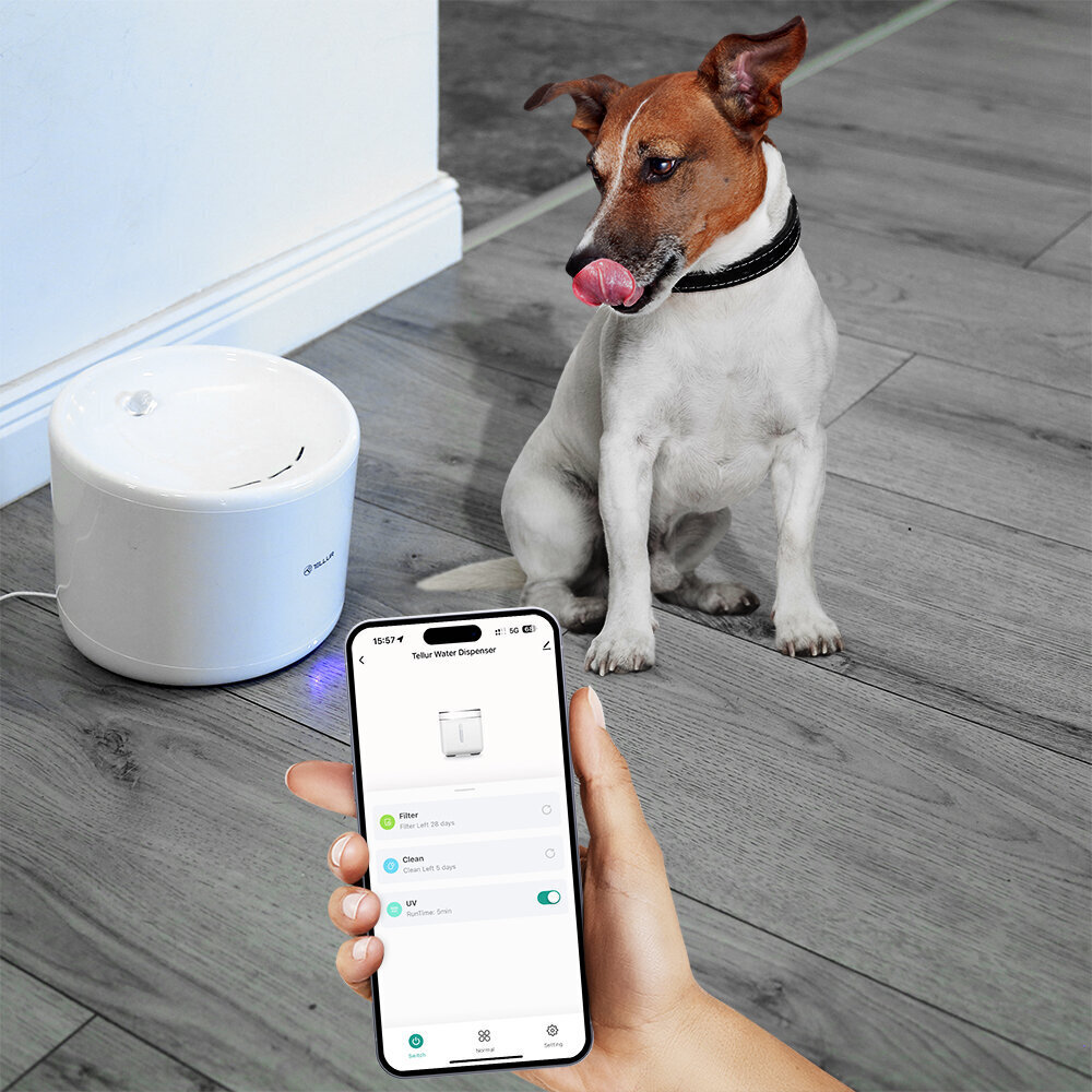 Tellur Smart WiFi Pet vesiautomaatti, 2L valkoinen hinta ja tiedot | Ruokakupit ja ruokintatarvikkeet | hobbyhall.fi