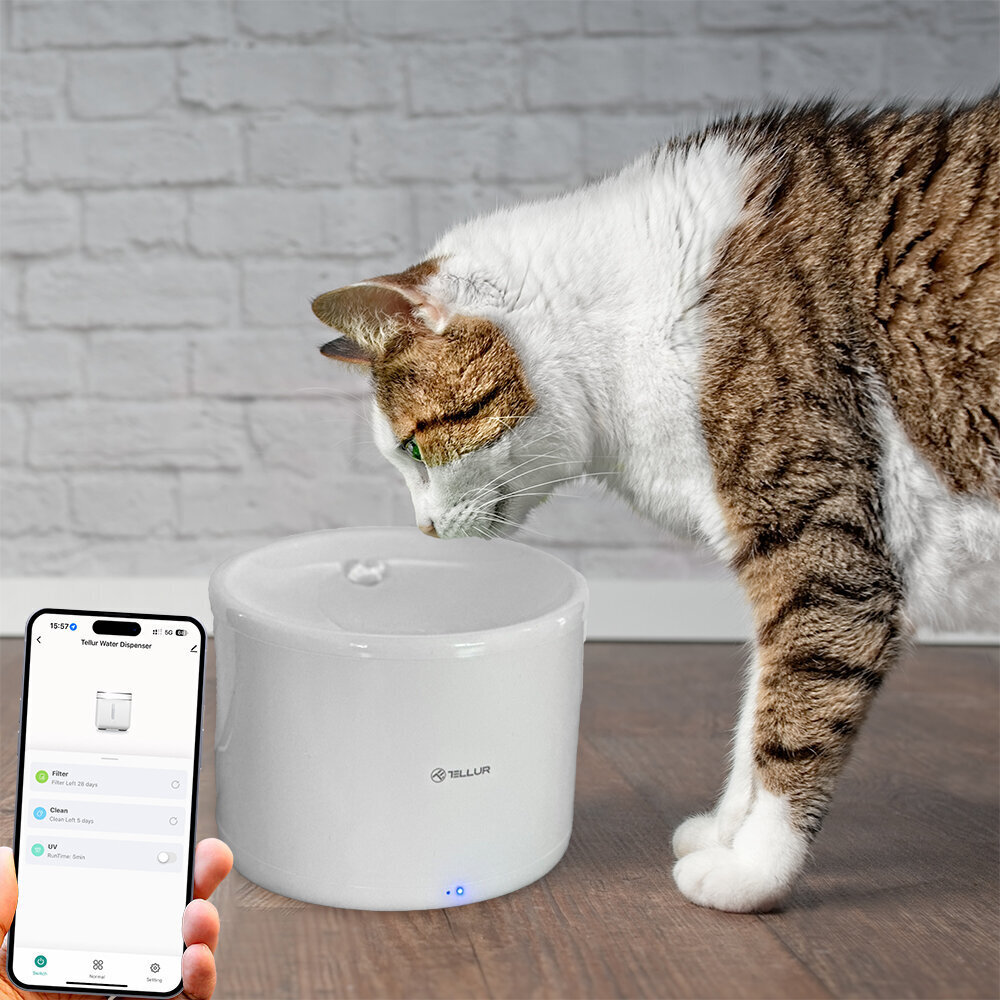 Tellur Smart WiFi Pet vesiautomaatti, 2L valkoinen hinta ja tiedot | Ruokakupit ja ruokintatarvikkeet | hobbyhall.fi