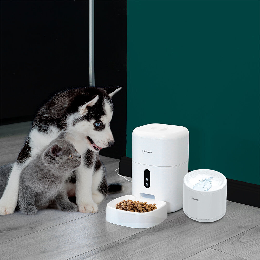 Tellur Smart WiFi Pet vesiautomaatti, 2L valkoinen hinta ja tiedot | Ruokakupit ja ruokintatarvikkeet | hobbyhall.fi