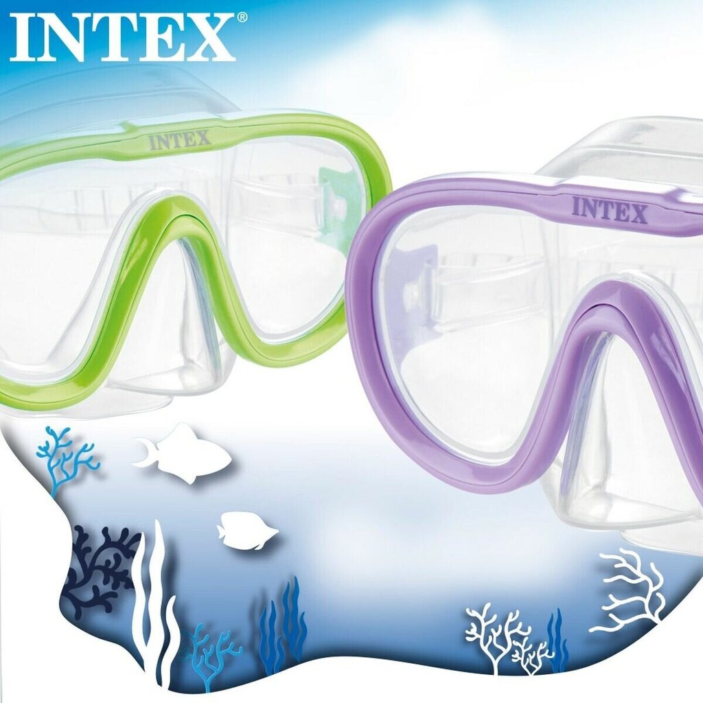 Sukellusnaamari Intex Sea Scan, violetti hinta ja tiedot | Sukellusmaskit | hobbyhall.fi