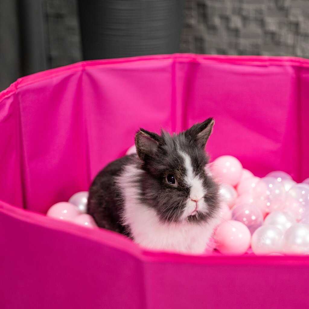 Petsona kokoontaitettava palloallas koirille kissoille 100 palloa pyöreä kissa kani lelu lemmikkieläimet koira allas eläimille uima-allas kannettava, vaaleanpunainen hinta ja tiedot | Koiran lelut | hobbyhall.fi