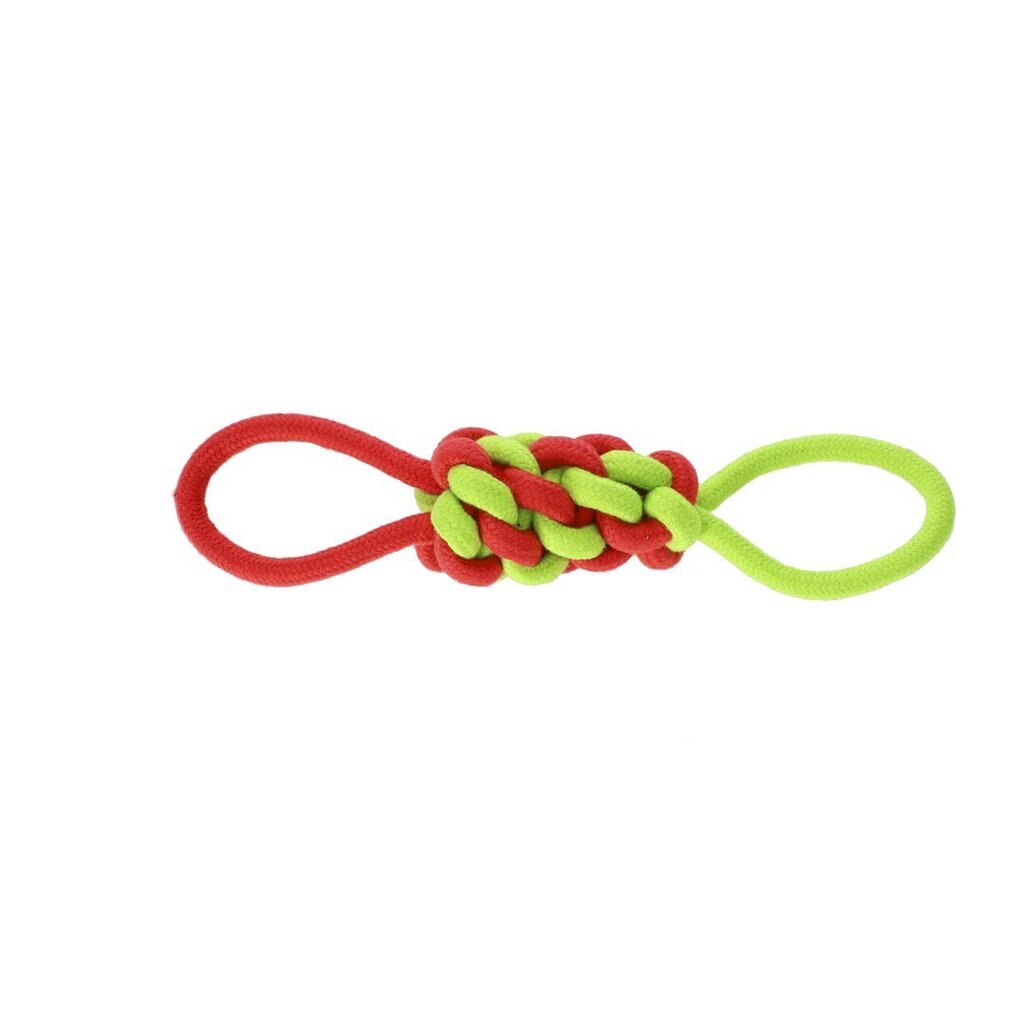 Koiran lelu Dingo Energy, punainen/vihreä, 34 cm hinta ja tiedot | Koiran lelut | hobbyhall.fi