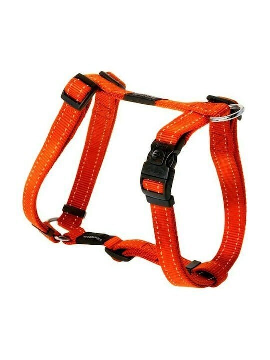 Valjaat H Fanbelt L 45-75cm, oranssi hinta ja tiedot | Koiran valjaat ja kaulapannat | hobbyhall.fi