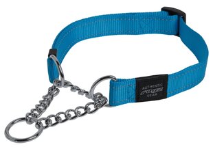 20mm Fanbelt Obedience koiranpanta, turkoosi, heijastava, Rogz hinta ja tiedot | Koiran valjaat ja kaulapannat | hobbyhall.fi