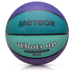 Meteor koripallo What's up 1 violetti/merellinen hinta ja tiedot | Koripallot | hobbyhall.fi