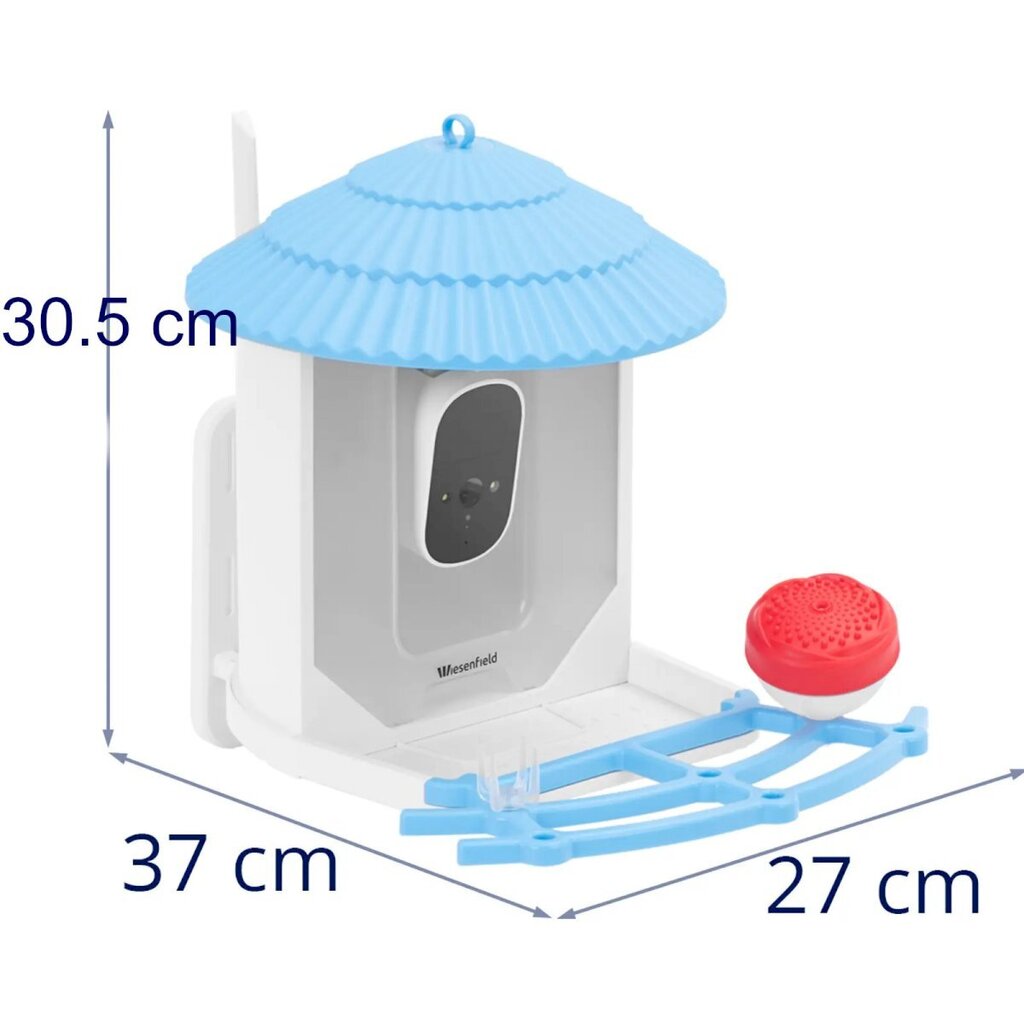 Älykäs lintujen ruokinta 4 MP HD-kameralla, Wiesenfield WIE-BF-021, 2,5 l aurinkopaneeli hinta ja tiedot | Lintulaudat ja lintuhäkit | hobbyhall.fi