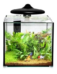 Aquarium CLEAR CUBE CC30 KIT 32L 350x320x318mm hinta ja tiedot | Akvaariotarvikkeet | hobbyhall.fi