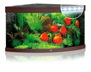 Akvaario Trigon LED 350L hinta ja tiedot | Akvaariotarvikkeet | hobbyhall.fi