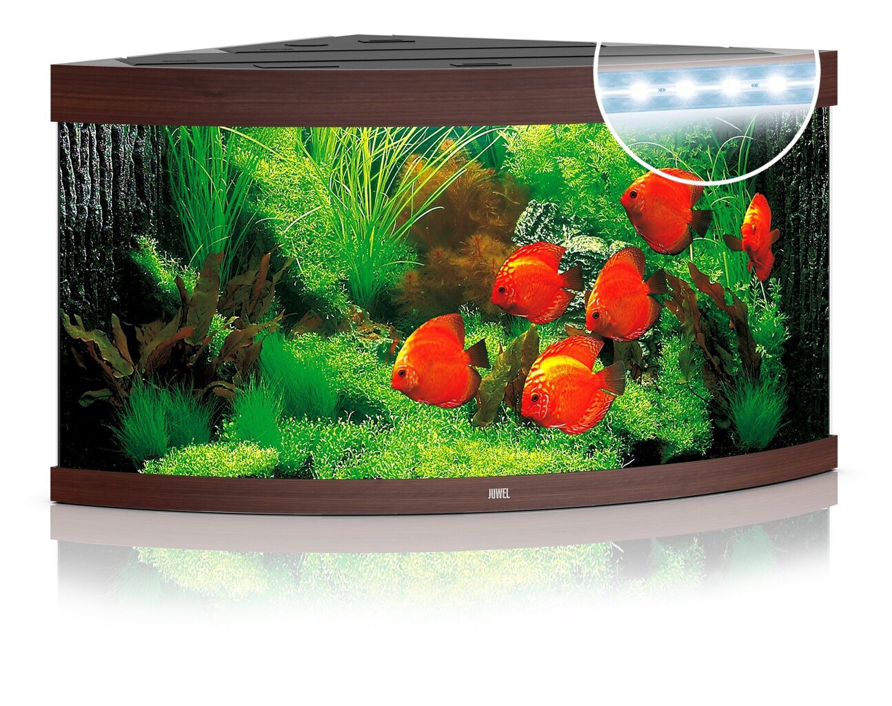 Akvaario Trigon LED 350 L tummaa puuta hinta ja tiedot | Akvaariotarvikkeet | hobbyhall.fi