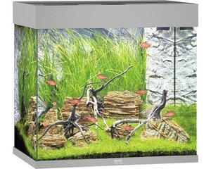 Aquarium Lido LED 200 L harmaa hinta ja tiedot | Akvaariotarvikkeet | hobbyhall.fi