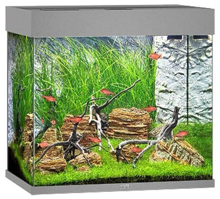 Aquarium Lido LED 120 L harmaa hinta ja tiedot | Akvaariotarvikkeet | hobbyhall.fi