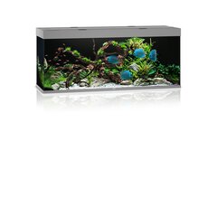 Aquarium Rio LED 450 L harmaa hinta ja tiedot | Akvaariotarvikkeet | hobbyhall.fi