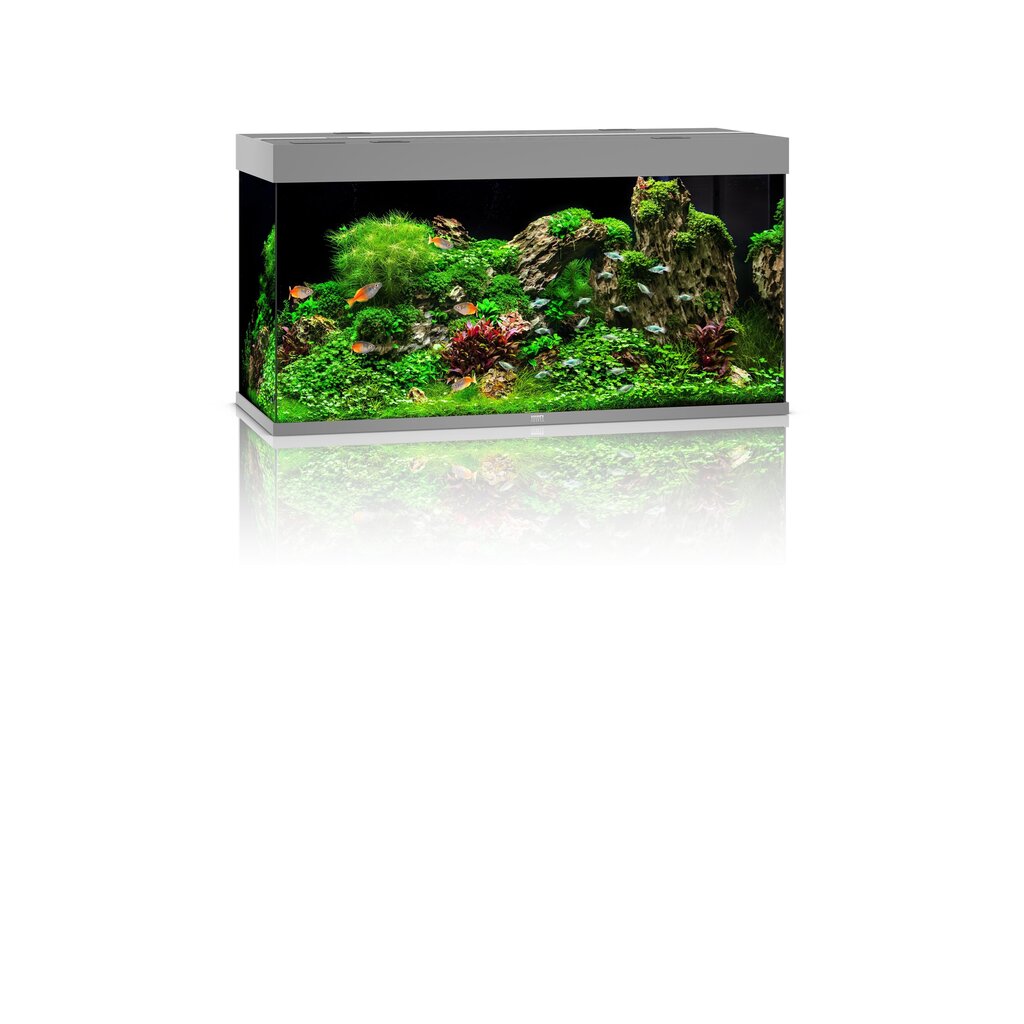 Aquarium Rio LED 350 L harmaa hinta ja tiedot | Akvaariotarvikkeet | hobbyhall.fi