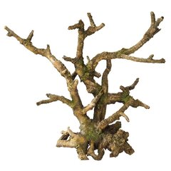 Akvaariokoriste Bonsai ilman lehtiä 25,5x10x24cm ruskea hinta ja tiedot | Akvaariokasvit ja akvaariokoristeet | hobbyhall.fi