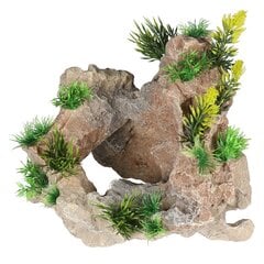 Akvaarion koristelu, vihreä kalkkikivi 24x20x21,5cm hinta ja tiedot | Akvaariokasvit ja akvaariokoristeet | hobbyhall.fi